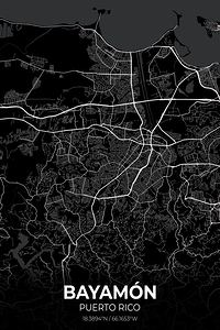 Bayamon Puerto Rico City Map Print