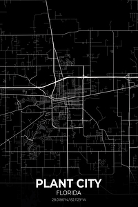Plant City Florida City Map Print