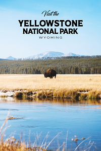 Yellowstone National Park
