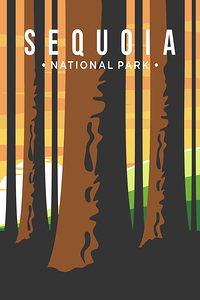 Sequoia National Park