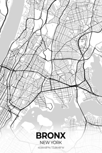 Bronx New York City Map Print