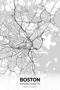 Boston Massachusetts City Map Print