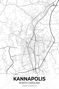Kannapolis North Carolina City Map Print