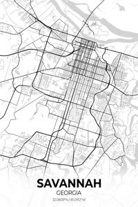 Savannah Georgia City Map Print