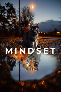 Mindset Cat Motivational Print