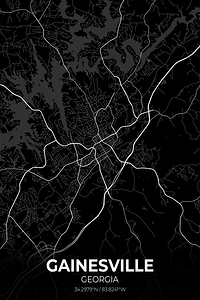 Gainesville Georgia City Map Print