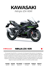 Kawasaki Ninja ZX 10R