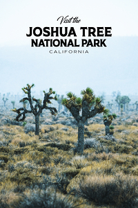 Joshua Tree National Park3