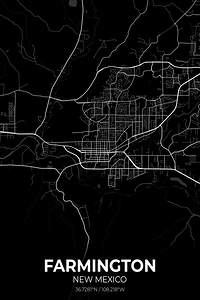Farmington New Mexico City Map Print