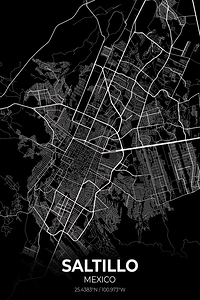 Saltillo Mexico City Map Print