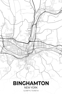 Binghamton New York City Map Print