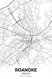 Roanoke Virginia City Map Print