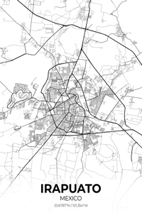 Irapuato Mexico City Map Print