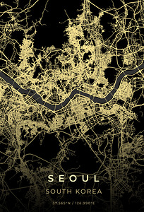Seoul South Korea City Map Print