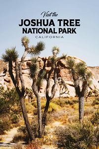 Joshua Tree National Park2