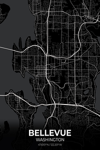 Bellevue Washington City Map Print