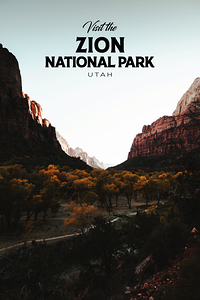 Zion National Park4