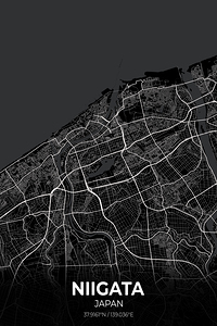 Niigata Japan City Map Print