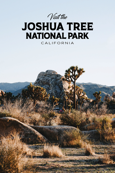 Joshua Tree National Park
