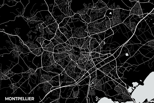 Montpellier France City Map Print Print