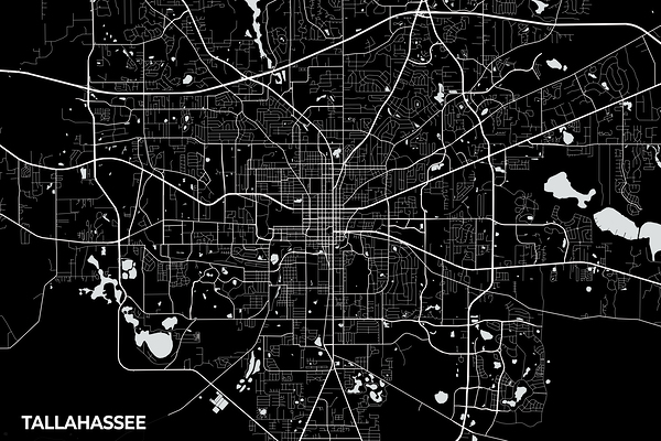 Tallahassee Florida City Map Print Print