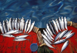 Freshfish