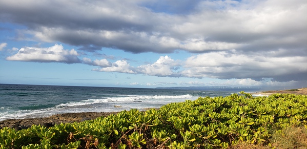 Braving The Waters Print