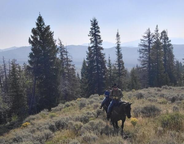 Out for a walk Print