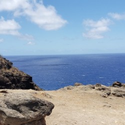 A Rocks Perfect View