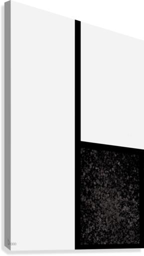 Ideal Lines 8 Canvas Print