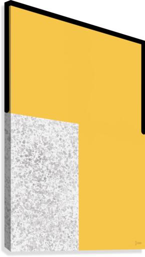Ideal Lines 7 Canvas Print