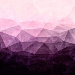 Purple Field
