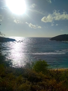 Hawaii Bay