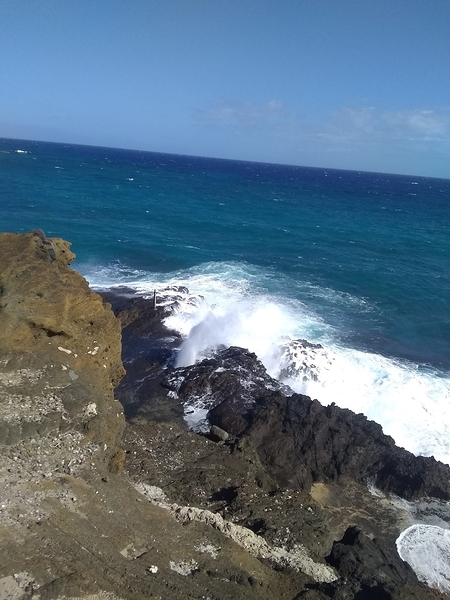 Blowhole Set 1 Print