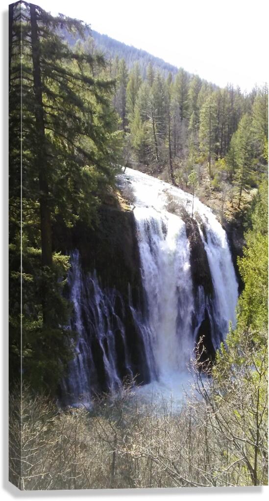 Burney Falls Canvas Print