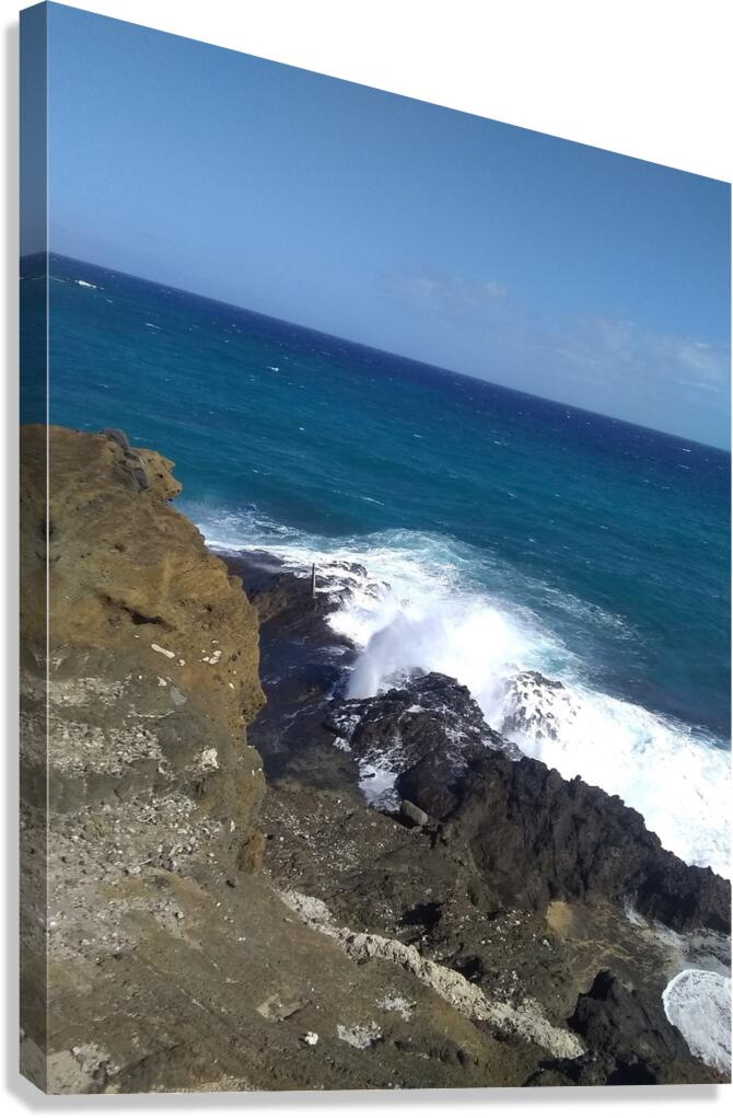 Blowhole Set 1 Canvas Print