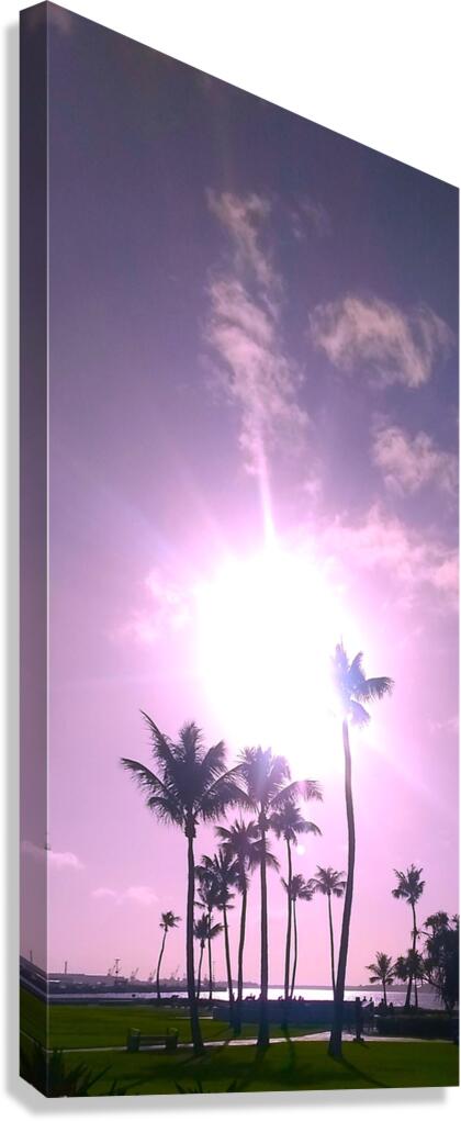 Palms and sun pink Canvas Print