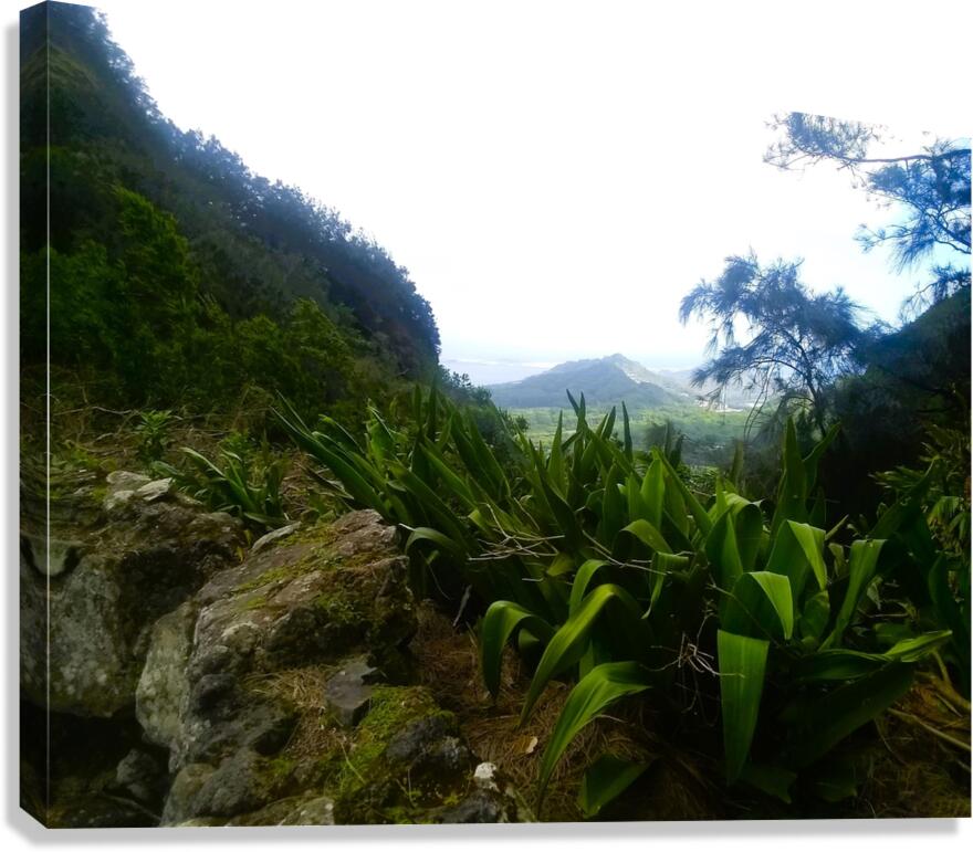 Hawaii 4 Canvas Print