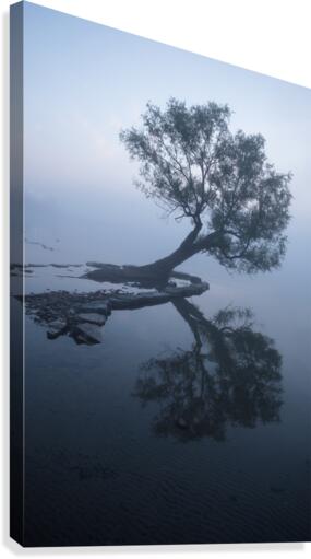 Untitled Canvas Print