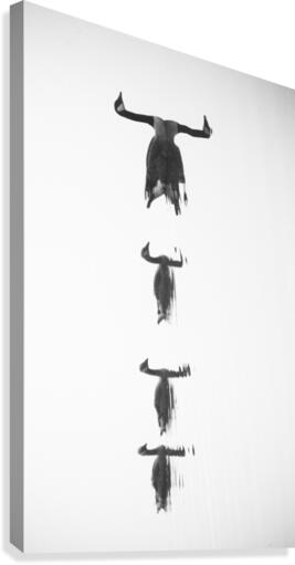 Untitled Canvas Print