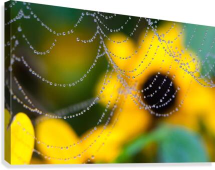 Endlessness Canvas Print