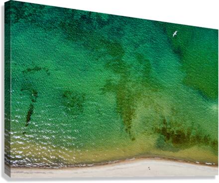 Beachscape Canvas Print