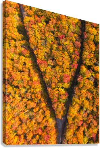 The Fork Canvas Print