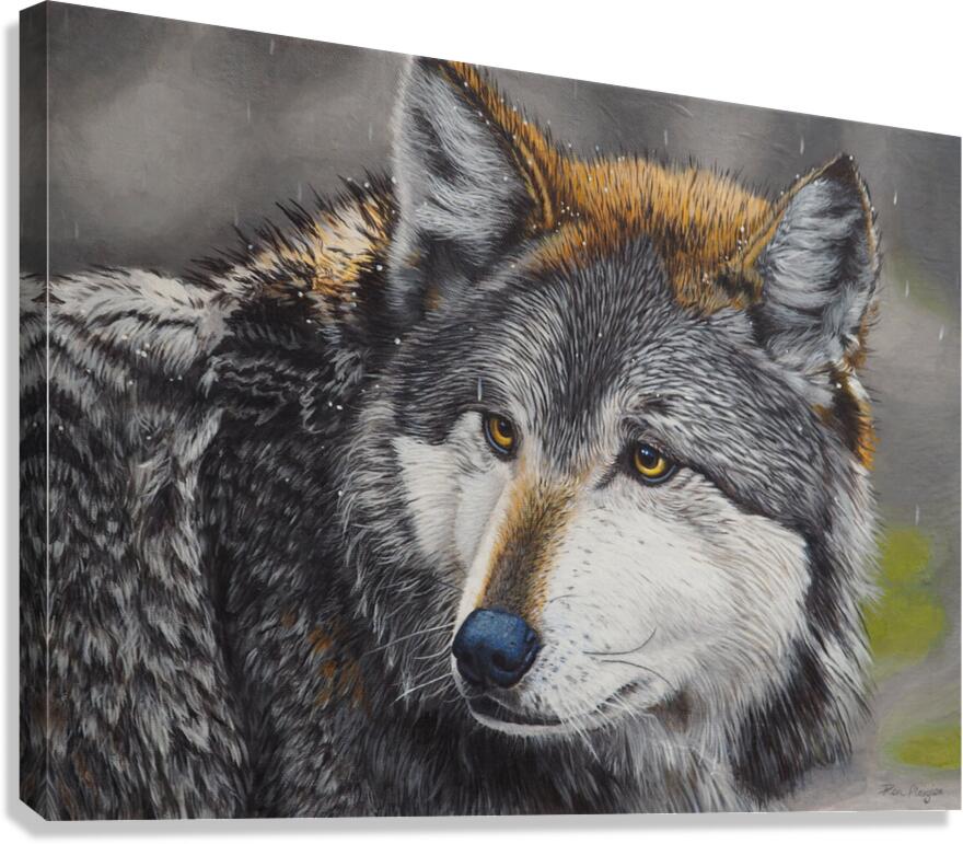 Mystic Canvas Print