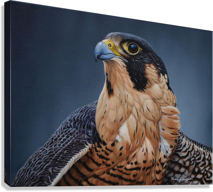 Sentinel Canvas Print