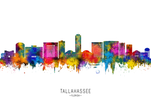 Tallahassee Florida Skyline