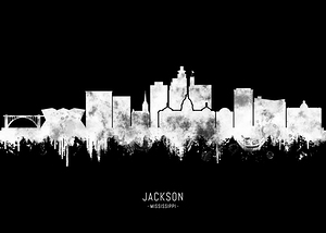 Jackson USA BW