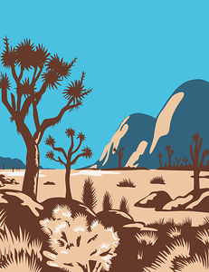 Joshua Tree National park