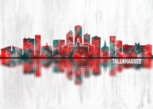 Tallahassee USA Skyline