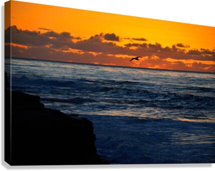 Free Canvas Print